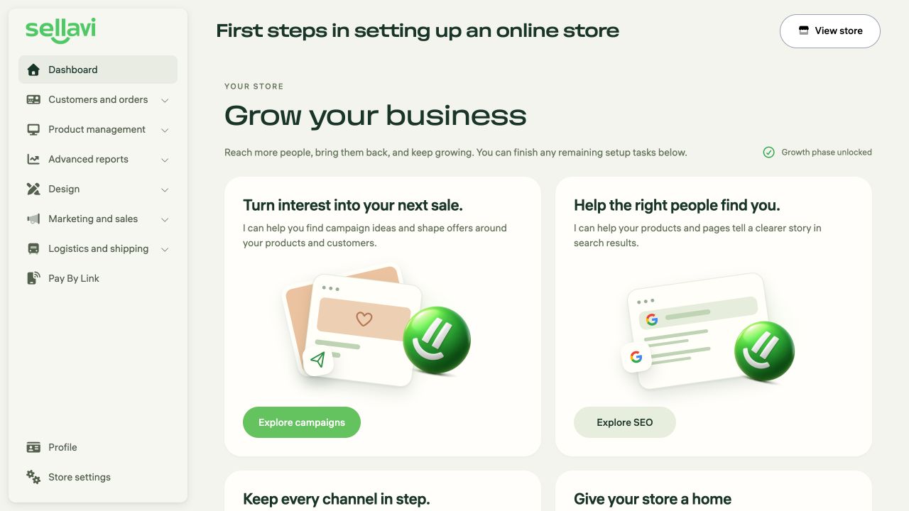 Preview of the Sellavi growth dashboard
